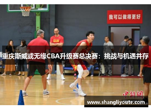 重庆斯威或无缘CBA升级赛总决赛：挑战与机遇并存