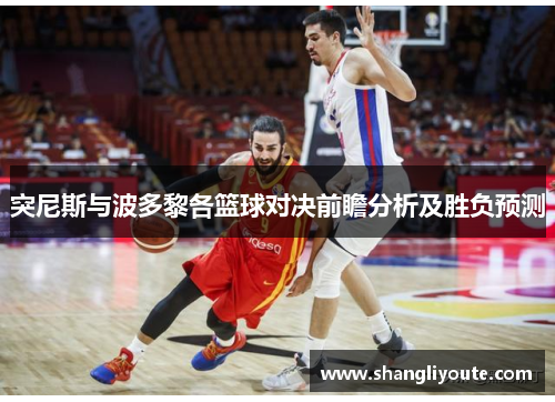 突尼斯与波多黎各篮球对决前瞻分析及胜负预测